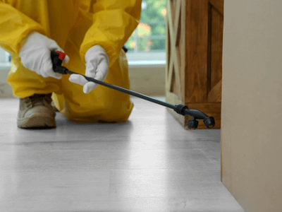 About Wasp Nest Removal Oxon Hill - wasp nest removal experts in Oxon Hill