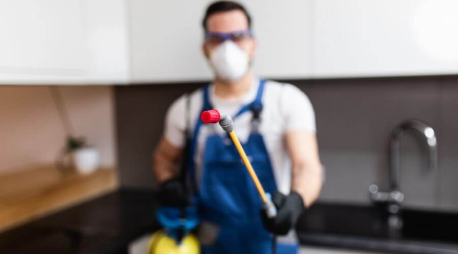 Why choose Wasp Nest Removal Oxon Hill for wasp nest removal in Oxon Hill